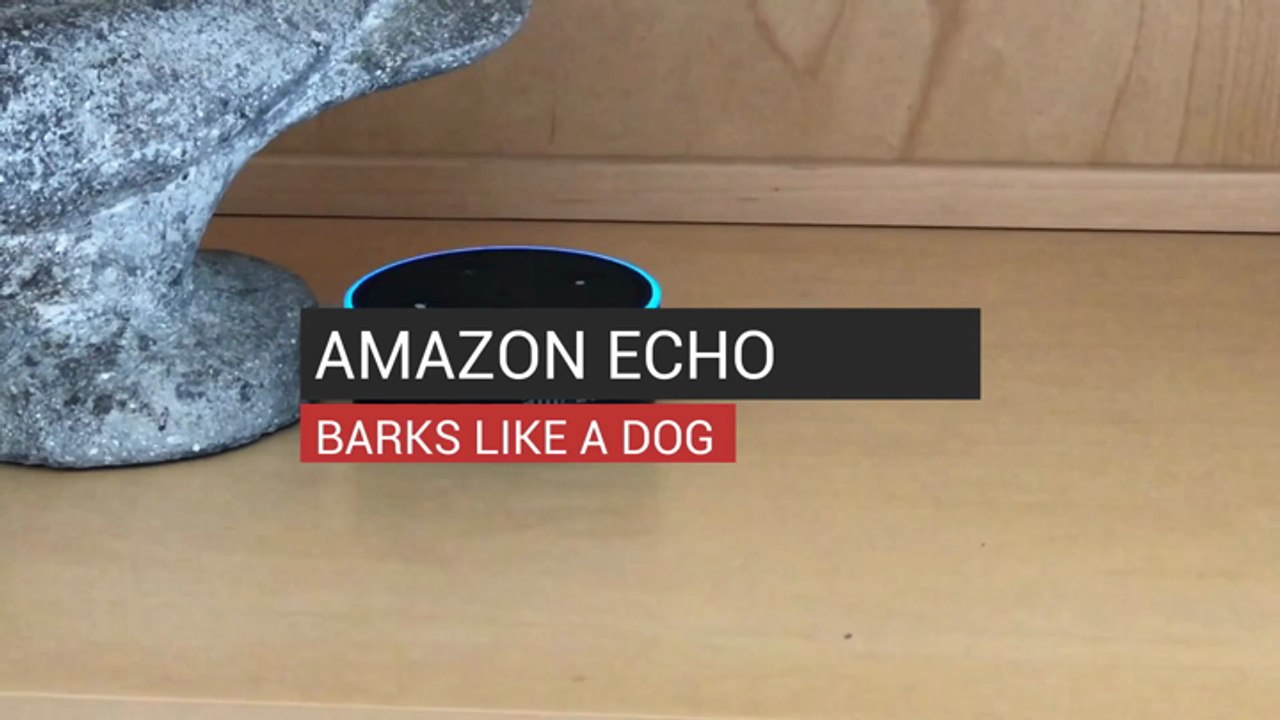 Amazon Echo Barks Like A Dog