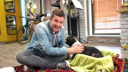 Timster - 178. Tims neuer tierischer Kumpel