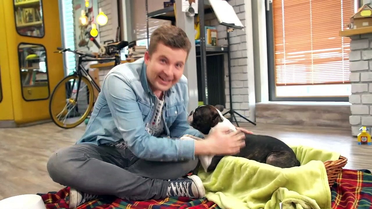 Timster - 178. Tims neuer tierischer Kumpel