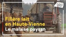 Haute Vienne : colère et détresse des agriculteurs