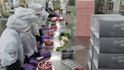 보기만해도 힐링되는! 4가지 생크림케익 만들기 (카네이션,딸기,초코,레인보우) _ Making fresh cream cake - Korean food factory