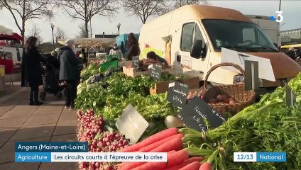 Circuits courts : après le boom du confinement, quel avenir pour les maraîchers ?