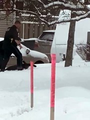 Canadian Police Try to Catch Seal