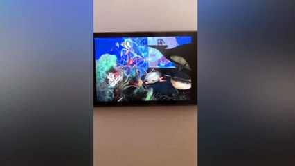 Sigara kibrite âşık olursa, yanan sigara olur | Küratör Ulya Soley, Pera Müzesi'ndeki yeni sergi 'Zevk Meselesi'ni anlatıyor