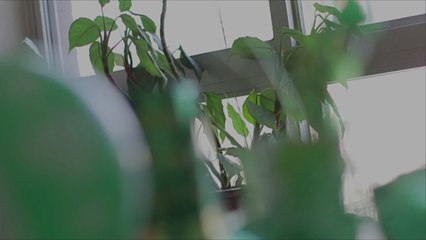 The Best Instagram Captions to Celebrate St. Patrick’s Day