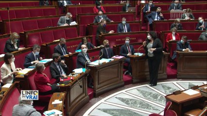Islamo-gauchisme : Frédérique Vidal est-elle allée trop loin dans ces propos ?