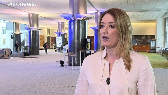 A magyar határ ügyét is elővenné az EP új vizsgálóbizottsága