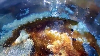 فراخ مشويه في الفرن بالخلطه السريه والطعم احلي من الجاهزه