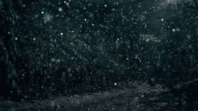 Tennessee Firefighters Rescue Calf Trapped in Frozen Pond