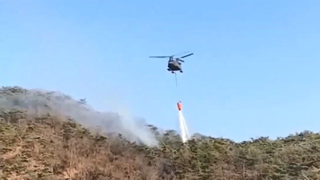 Firefighters take on forest fire in Japan from the air
