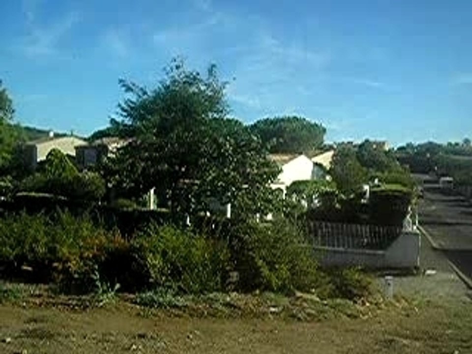 P1010243