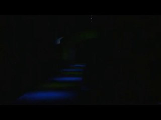 Christian Dior Fall 2011 Couture