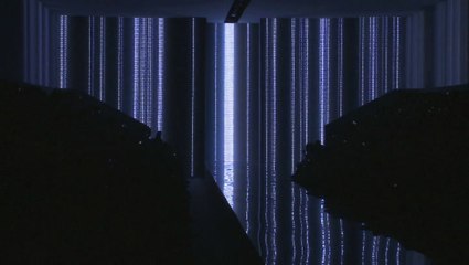 Christian Dior Spring 2012