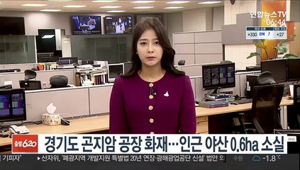 경기도 곤지암 공장 화재…인근 야산 0.6ha 소실