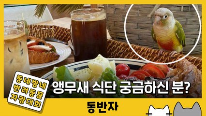 [동반자] "앵무새는 뭘 먹냐고요?"…소미의 '식단 일기' / YTN