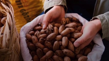 Pecan Oil Is the Secret Ingredient Your Southern Kitchen Is Missing