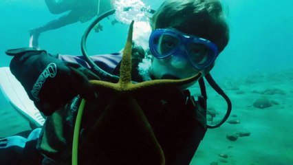 Jaimen Hudson From Sky To Sea Documentary movie