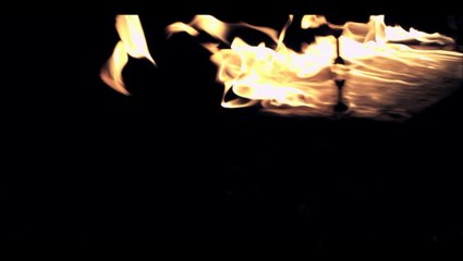 Is This Real Life (Nuptialis Project) by Suzie Q + Leo Siboni