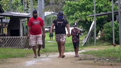 204 casos de variantes do coronavírus no Brasil