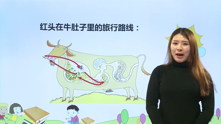 10在牛肚里旅行 小学语文课文 三年级上 影片dailymotion
