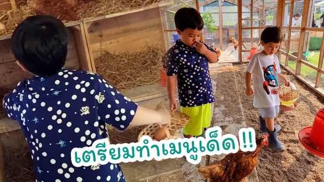 เอ็นดู ! สายฟ้า - พายุ เข้าเล้าไก่เก็บไข่เองกับมือ เตรียมทำเมนูเด็ด