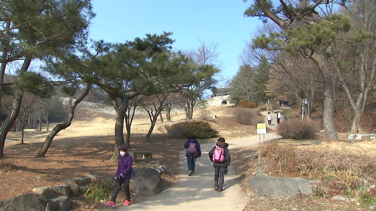[날씨] 포근한 봄, 공기 깨끗...내일 충청 이남 비 / YTN