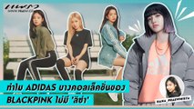 Praew Sound Hub : ทำไม Adidas บางคอลเล็คชั่นของ BLACKPINK ไม่มี ลิซ่า