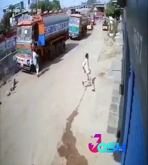 Tiger in road