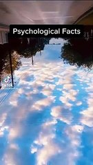 Tip me i tip you back