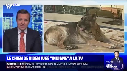 Un présentateur d'une chaîne pro-Trump se moque d'un des chiens de Joe Biden