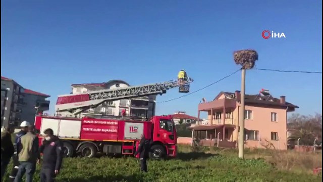 Ayvalık’ta göçmen kuşlara itfaiye ve Milli Parklar şefkati