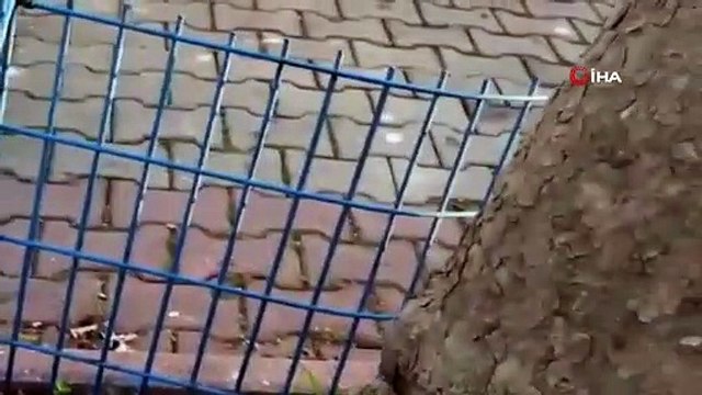 Sokak ortasında darp edilen genç kız şikayetçi olmadı