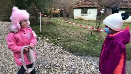 Am fost sa vedem zimbri si am aterizat in fan !