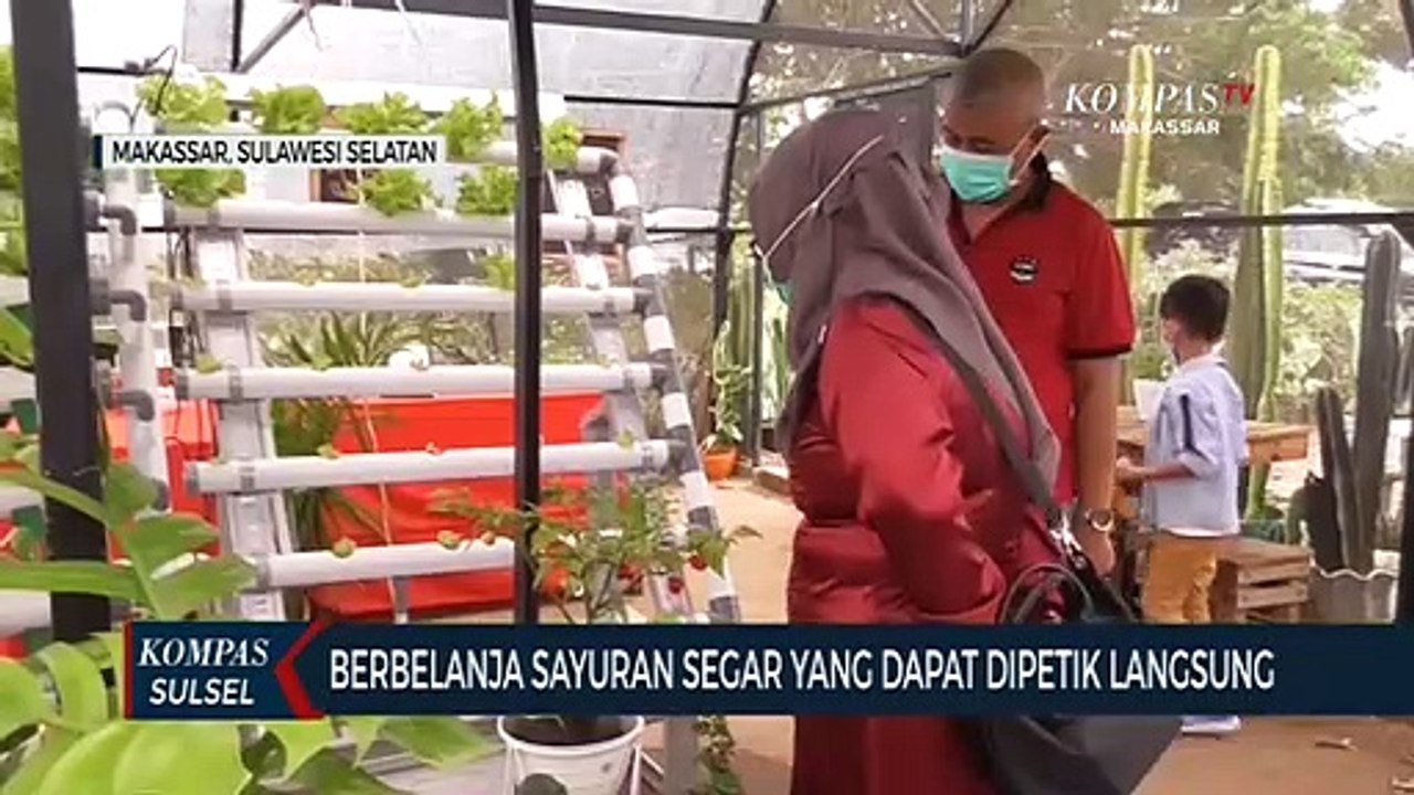 Berbelanja Sayuran Segar Yang Dapat Dipetik Langsung
