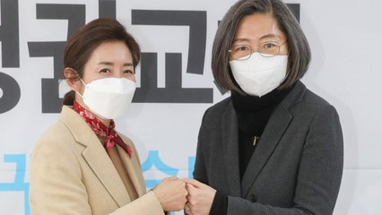 나경원, 이수정 교수 고문 영입..."성폭력 방지책 자문" / YTN