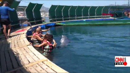 "Esaret altındaki yunusların gülüşüne aldanmayın, intiharın eşiğindeler"