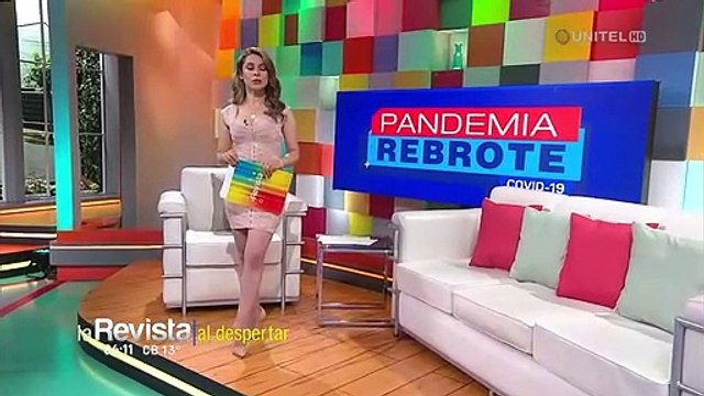 Gobierno califica de políticas las movilizaciones de médicos y cocaleros