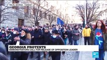 Georgia protests: Demonstrators call for release of opposition leader