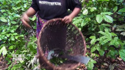 L’AFRIQUE AU FÉMININ – Reportage "Angélique, la voix de Pygmées Aka" (Congo)