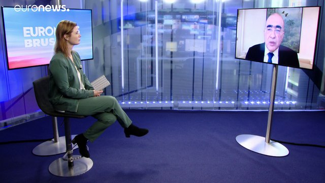 EU trade deal with South American countries 'suicide' without environmental clauses, says MEP