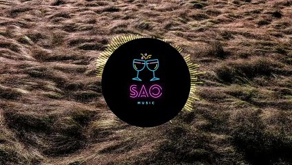 THE Chanakya Sao BGM Official | Luck Jet | Sao Music | Amol Lal Sao