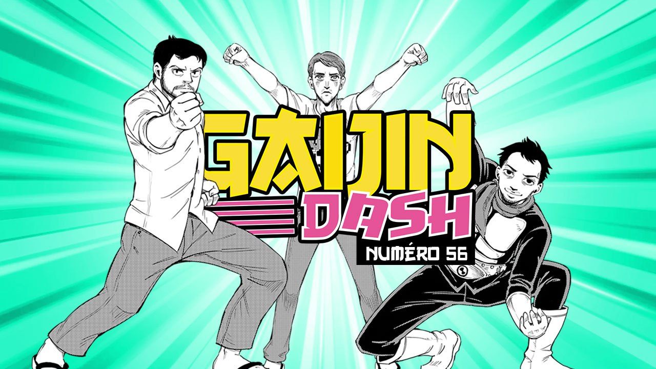 Gaijin Dash #56 : retour sur Ys IX et sa licence