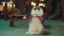 【萌宠X功夫】当我家猫看了星爷的《功夫》之后……【敖弟】 ( 1080 X 1920 )
