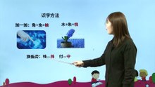 5、守株待兔|小学语文课文|三年级下
