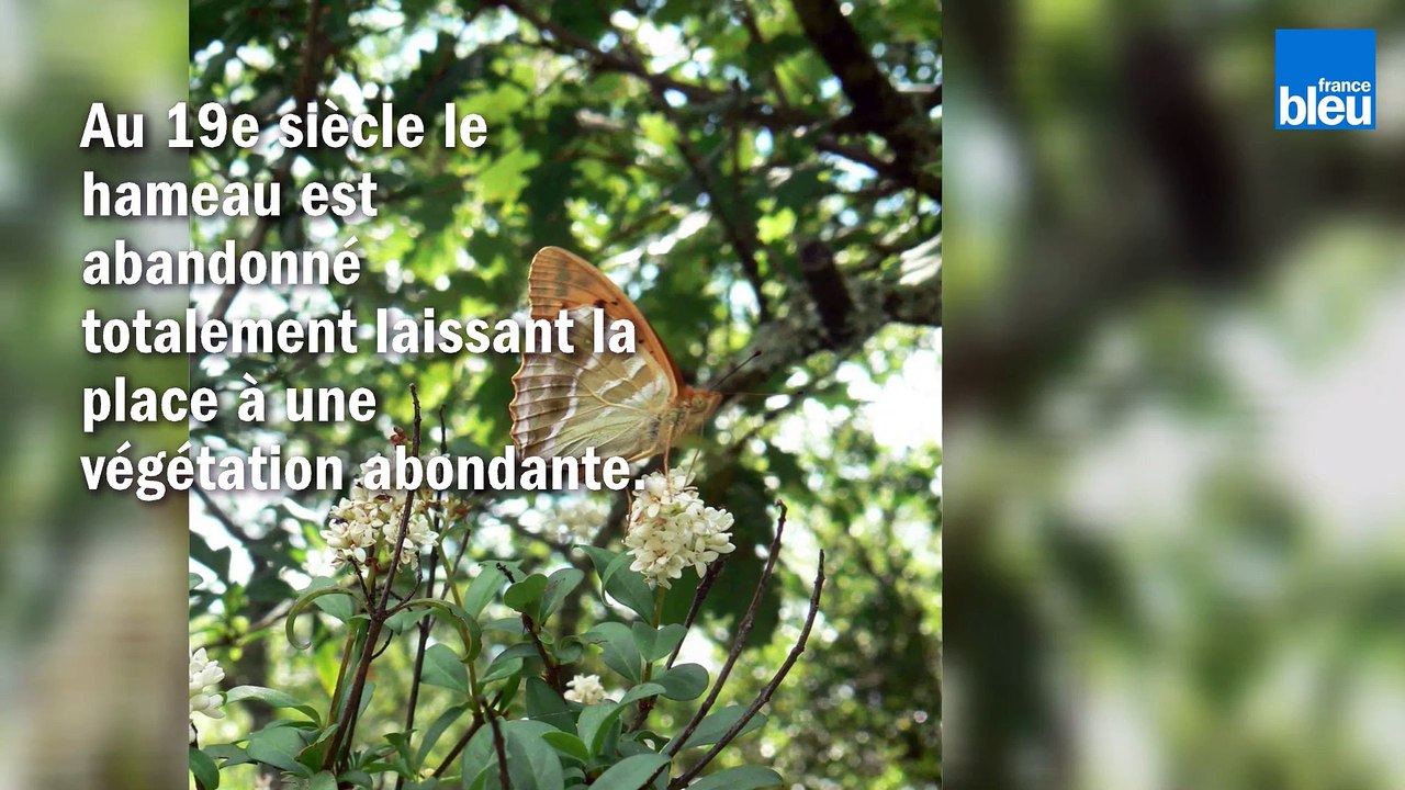Le_Viel_Audon - Ardèche