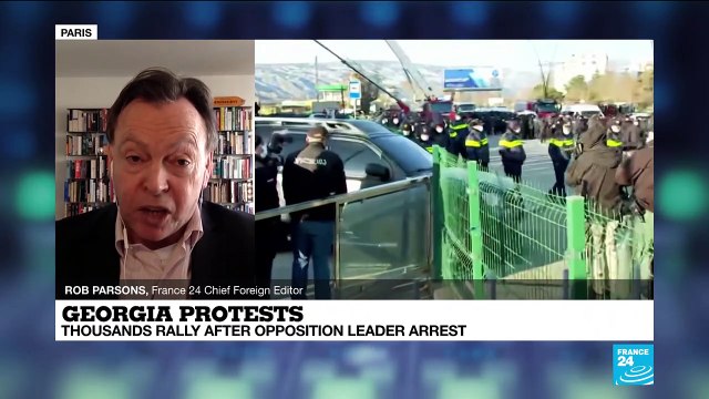 Thousands protest in Georgia after opposition leader arrested