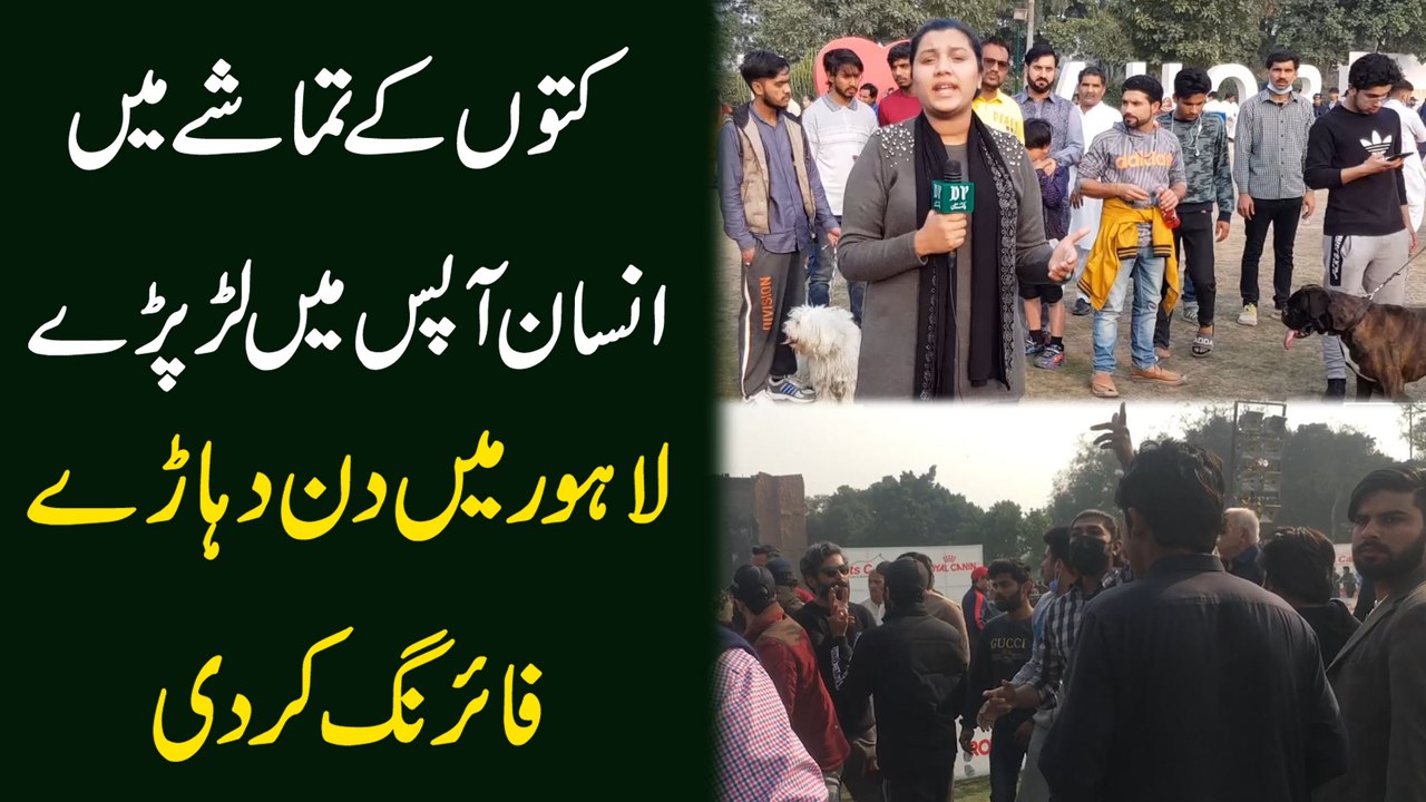 Kutto k tamashay mei insan apas mei larr parray, Lahore mei din deharray firing kar di