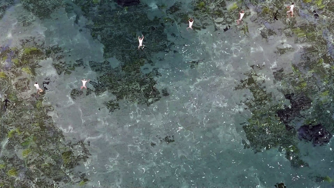 My Own Landscapes - Trailer