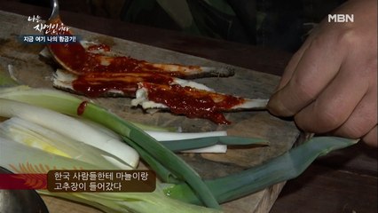 [자연밥상] ☆멧돼지가 파놓은 더덕으로 즐기는 더덕 파티☆