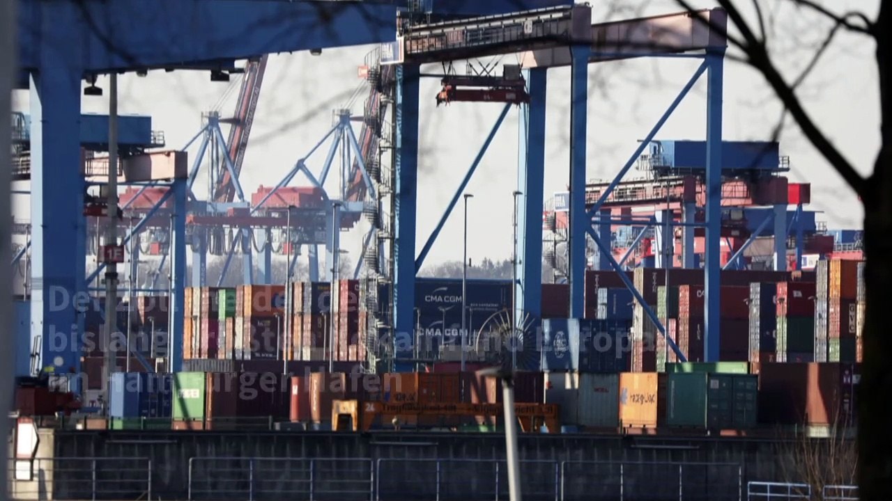 Rekordkokainfund im Hafen in Hamburg